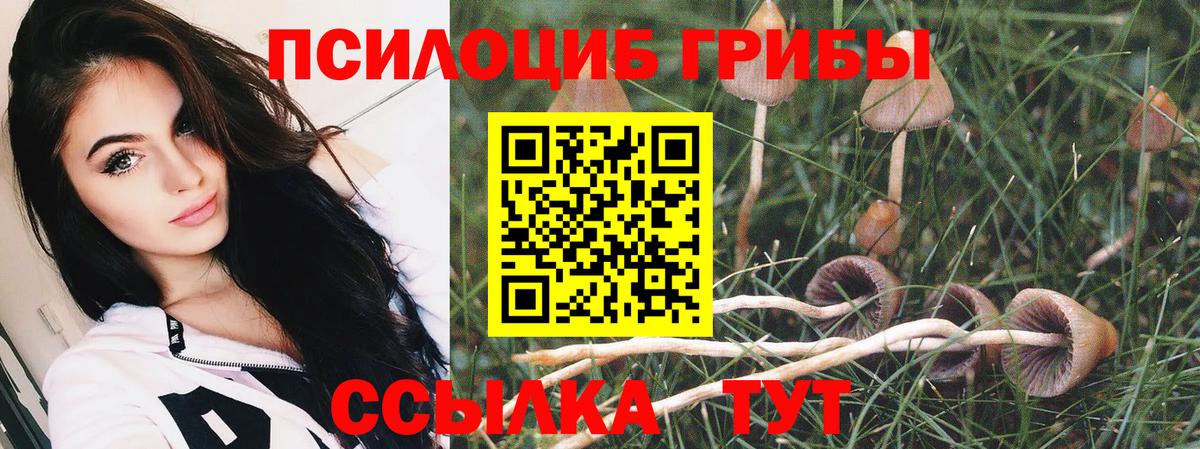 Галлюциногенные грибы мицелий  Вход с VPN  Вятские Поляны 
